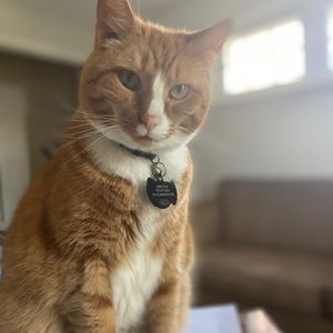 Meet your Posher, Tracy